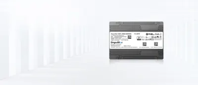 New DapuStor SSD pairs high-capacity QLC with a permanent pSLC region — trades 6% to 20% of its QLC capacity for more than 7x faster random writes