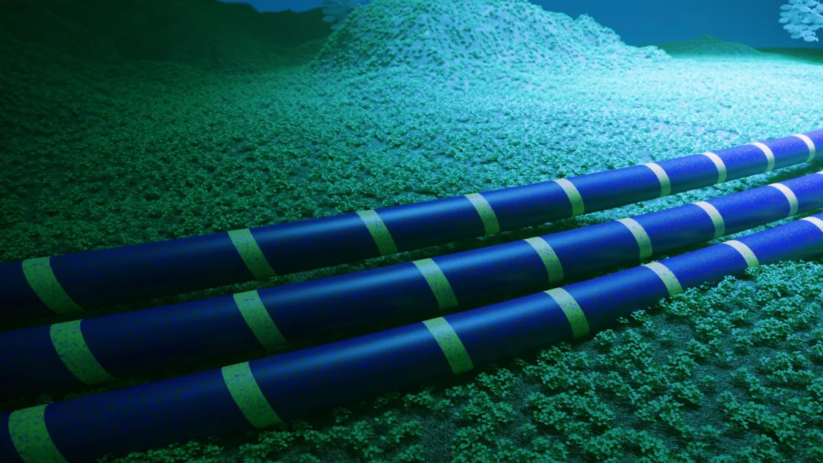 Finnish authorities seize ship and crew after undersea cable cut, pursuing criminal charges — Finnish special forces board ship, detain all 14 crewmembers